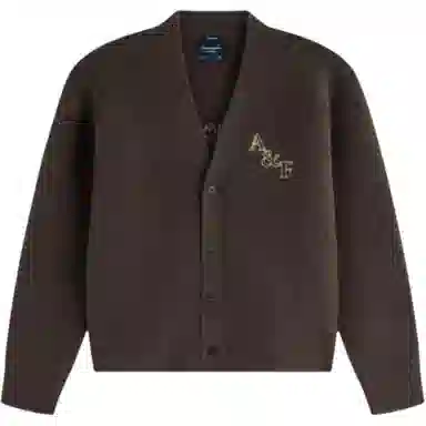 Abercrombie Fitch Deer V-Neck Sweater