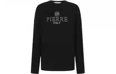 PP PIERRE PIERUCCI LOGOT