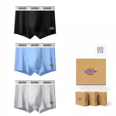 Dickies 10A95