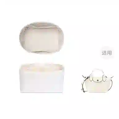 FANJI longchampCuir