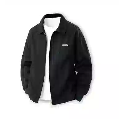 Lightning X Storm LOGO