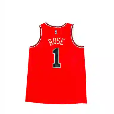 Nike Chicago Bulls NBA 1 Logo