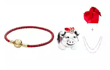 Pandora Red Series DIY Charm Bracelet