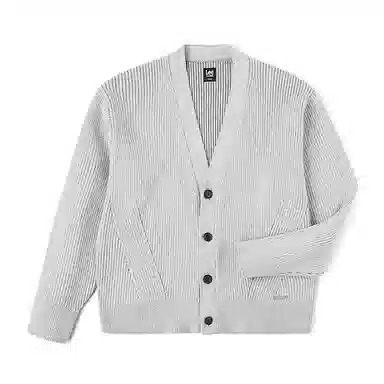 Lee FW25 V