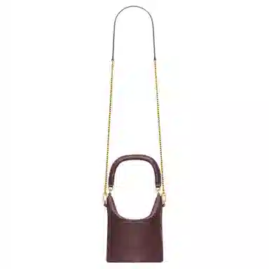 SAINT LAURENT YSL GABYCASSANDRE