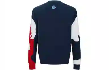 PP PIERRE PIERUCCI LOGO