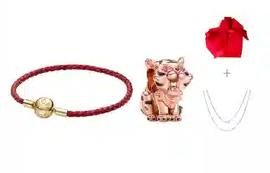 Pandora Red Series DIY Charm Bracelet