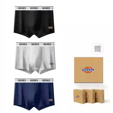 Dickies 10A95