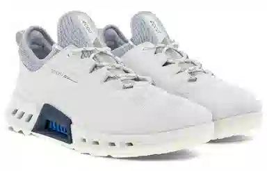 x ecco Biom C4