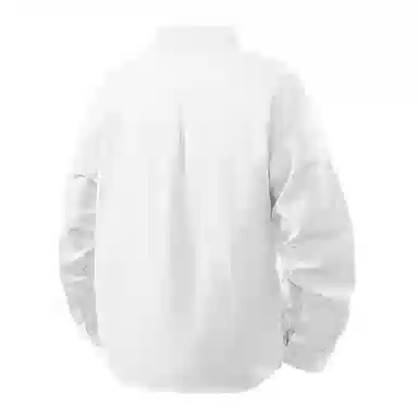 GOOSELIAR