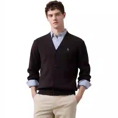 HAZZYS HAZZYSICONIC V