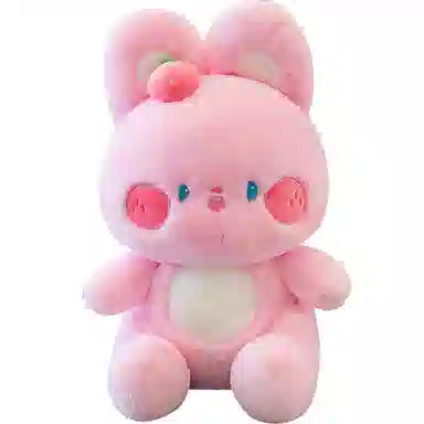 25cm