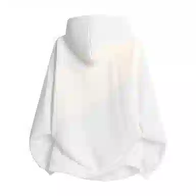 PAUL COSTELLOE Logo Hoodie