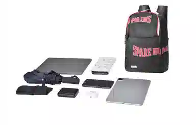 spare no pains. Logo