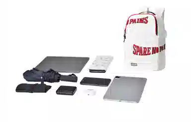 spare no pains. Logo