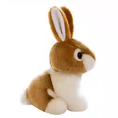 20cm28cm