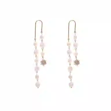 彤彤兔 欧美风长款流苏链条耳坠气质百搭耳饰女 合金树脂 耳环 女款