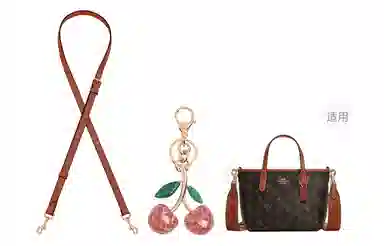 COACH city15 Tote mini