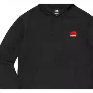 Supreme x THE NORTH FACE FW19 Week 10 Statue of Liberty Hooded Sweatshirt Black