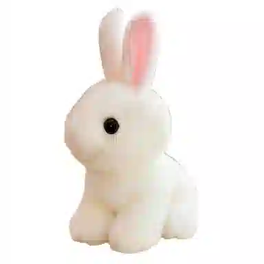 20cm28cm