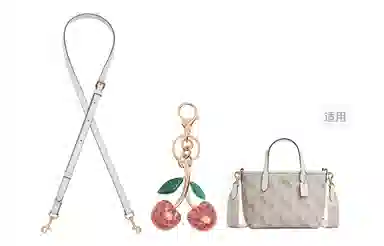 COACH city15 Tote mini