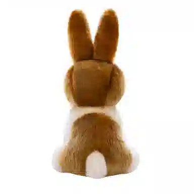 20cm28cm