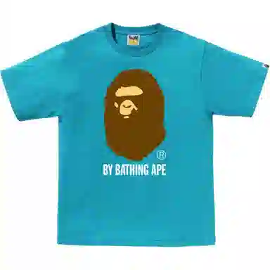 A BATHING APE FW25 T
