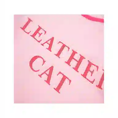 Leather cat