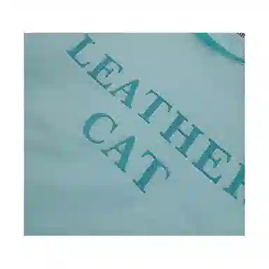 Leather cat