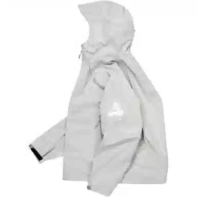 PALACE FW25 GORE-TEX 3L PALEX JACKET logo