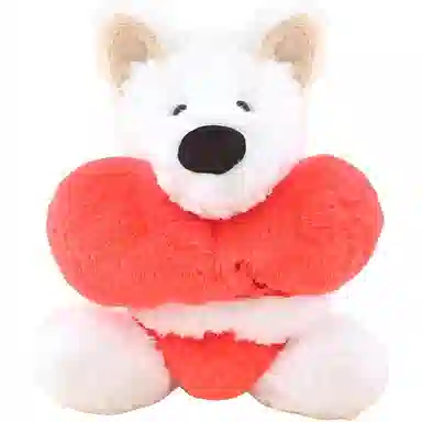 X2HOMME 25cm