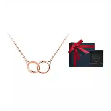 Daniel Wellington Lumine Accessory Necklace