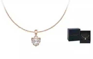 Daniel Wellington CHARMS
