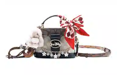 COACH Georgie 20 Classic Canvas Crossbody Bag