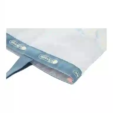 LeSportsac CAREBEARS