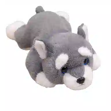 lionf 30cm40cm60cm