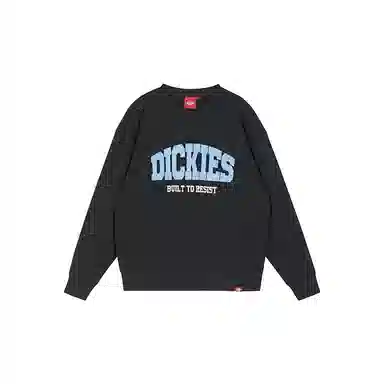 Dickies 25LOGODK0A8869