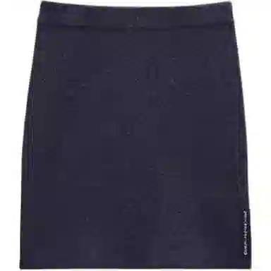 Alexander Wang FW25 Logo Skirt