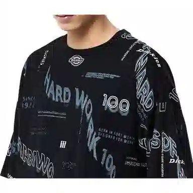 Dickies FW22 T