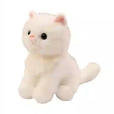20cm
