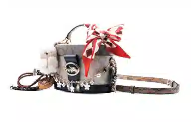 COACH Georgie 20 Classic Canvas Crossbody Bag