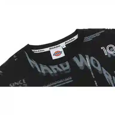 Dickies FW22 T