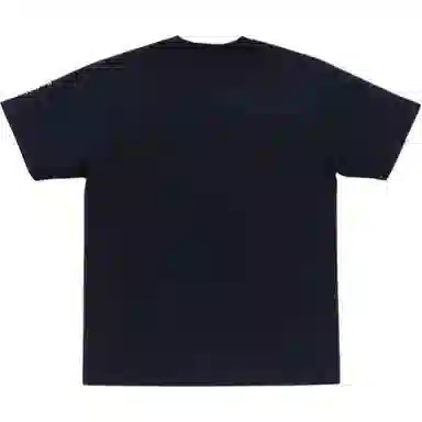 A BATHING APE x UKIYO-E UKIYO-E FW25 T