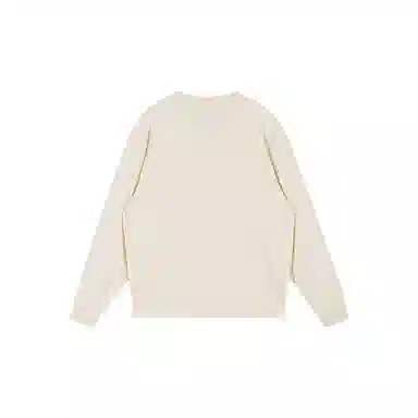 Dickies 25LOGODK0A8869