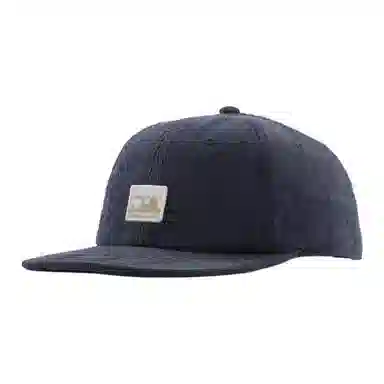Patagonia Organic Cotton Baseball Cap