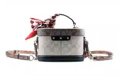 COACH Georgie 20 Classic Canvas Crossbody Bag