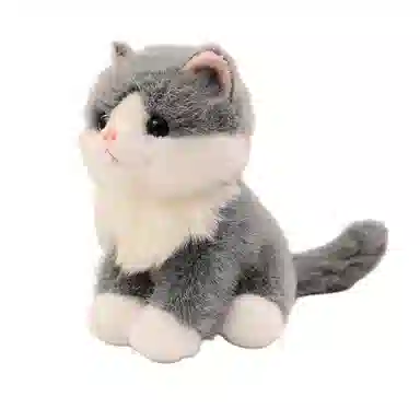 20cm
