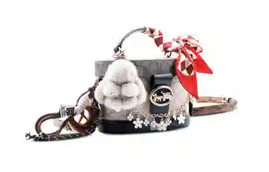 COACH Georgie 20 Classic Canvas Crossbody Bag