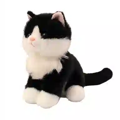 20cm