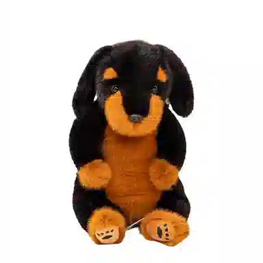 lionf 45cm